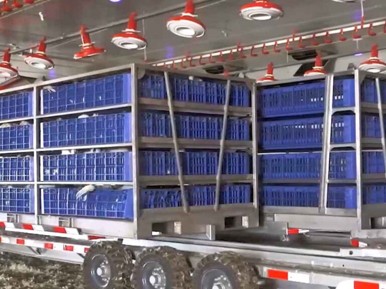 Chicken Harvester Carousel for chicken collection